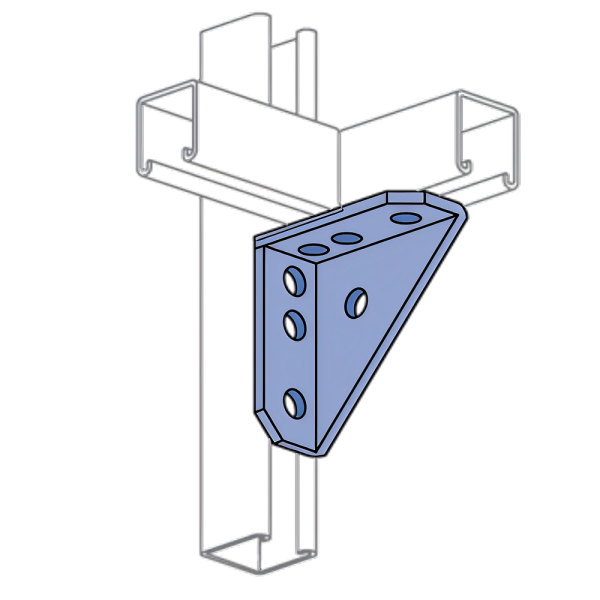 p2484-advanced-strut
